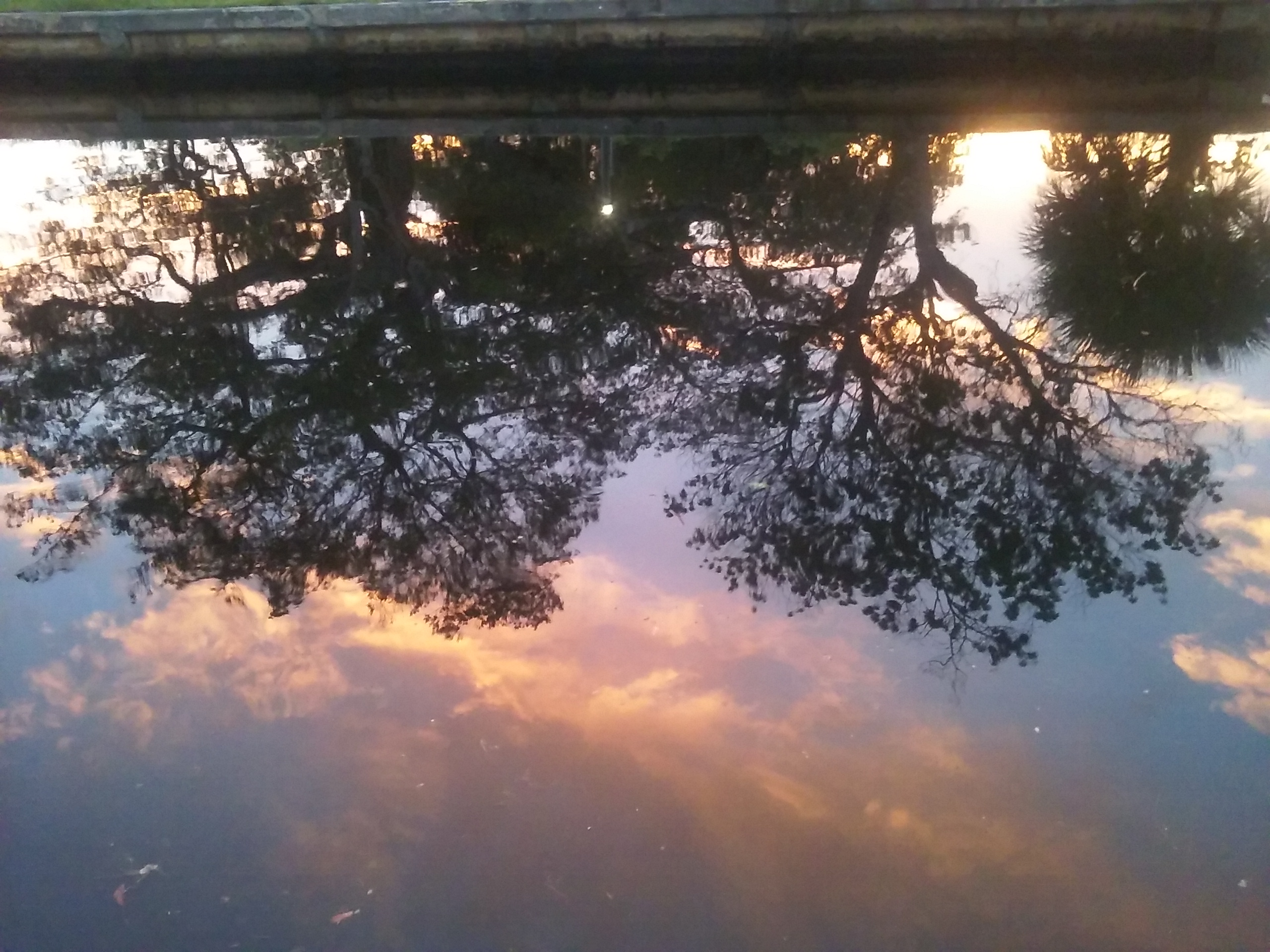 Reflections on Mortality - Andrew Joyce